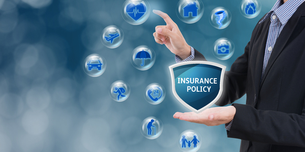 insurance policy checking services